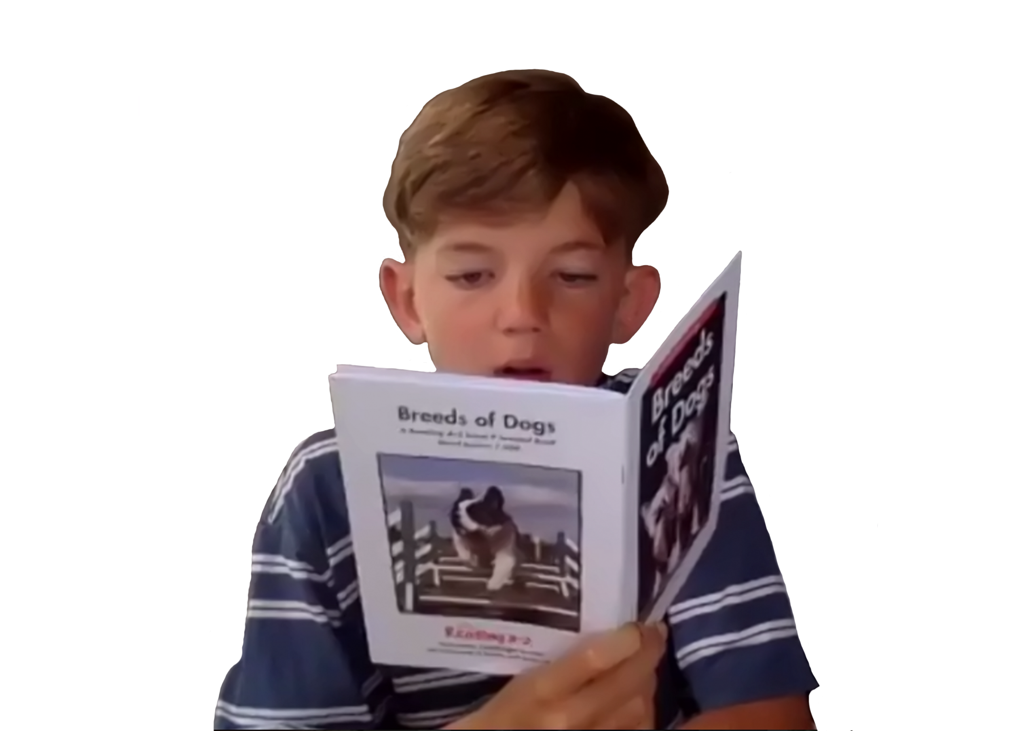 Boy Reading